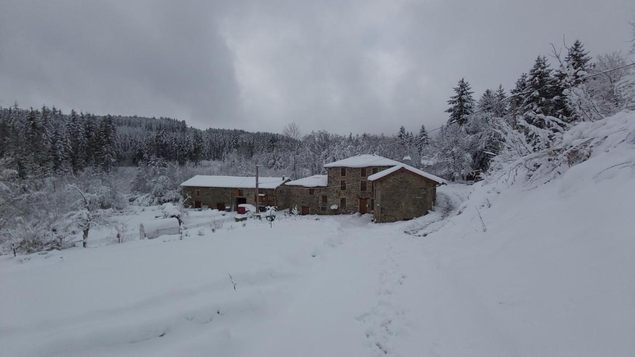 Gite Du Moulin Chenelette Exterior photo